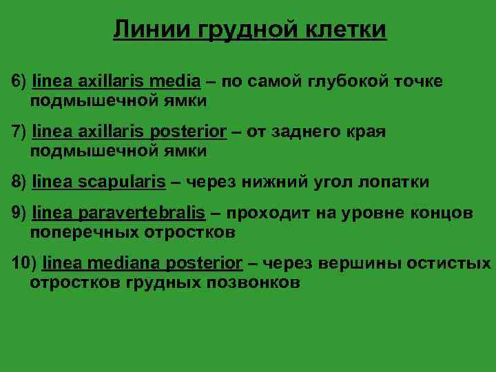 Линии грудной клетки 6) linea axillaris media – по самой глубокой точке подмышечной ямки