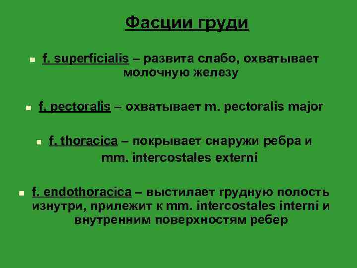 Фасции груди f. superficialis – развита слабо, охватывает молочную железу n n f. pectoralis