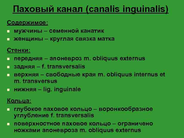 Паховый канал (canalis inguinalis) Содержимое: n мужчины – семенной канатик n женщины – круглая