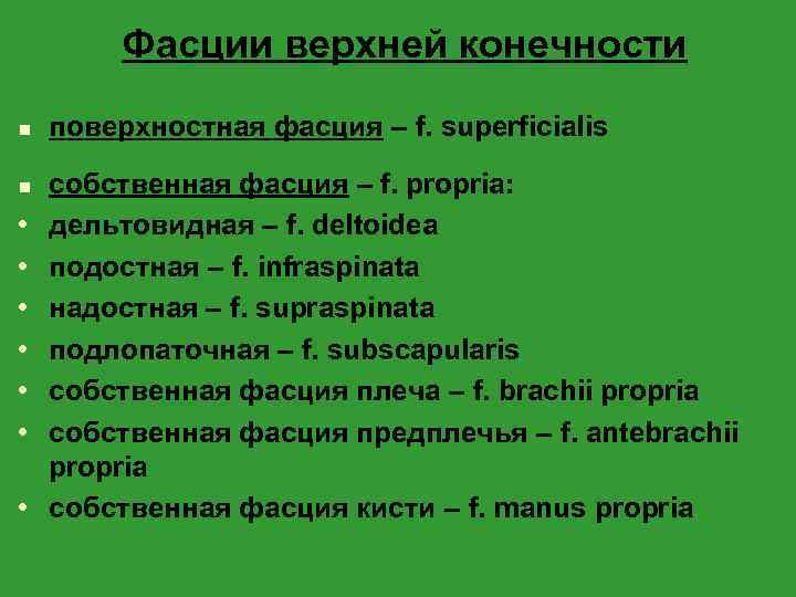 Фасции верхней конечности n n • • поверхностная фасция – f. superficialis собственная фасция