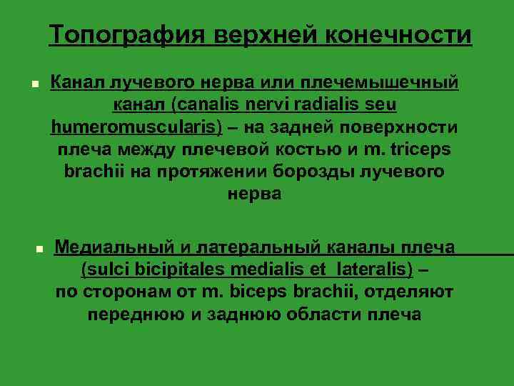 Топография верхней конечности n n Канал лучевого нерва или плечемышечный канал (canalis nervi radialis