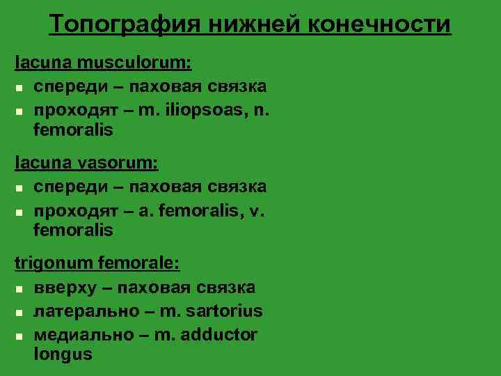 Топография нижней конечности lacuna musculorum: n спереди – паховая связка n проходят – m.