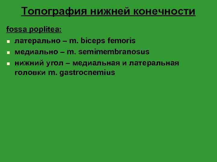 Топография нижней конечности fossa poplitea: n латерально – m. biceps femoris n медиально –