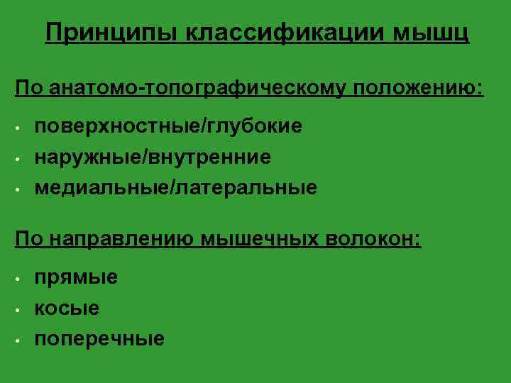 Принципы классификации мышц По анатомо-топографическому положению: • • • поверхностные/глубокие наружные/внутренние медиальные/латеральные По направлению