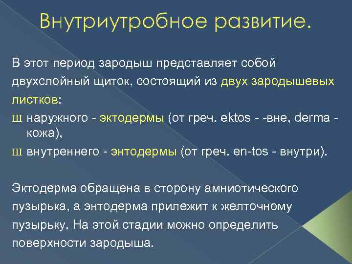 Внутриутробное развитие. В этот период зародыш представляет собой двухслойный щиток, состоящий из двух зародышевых