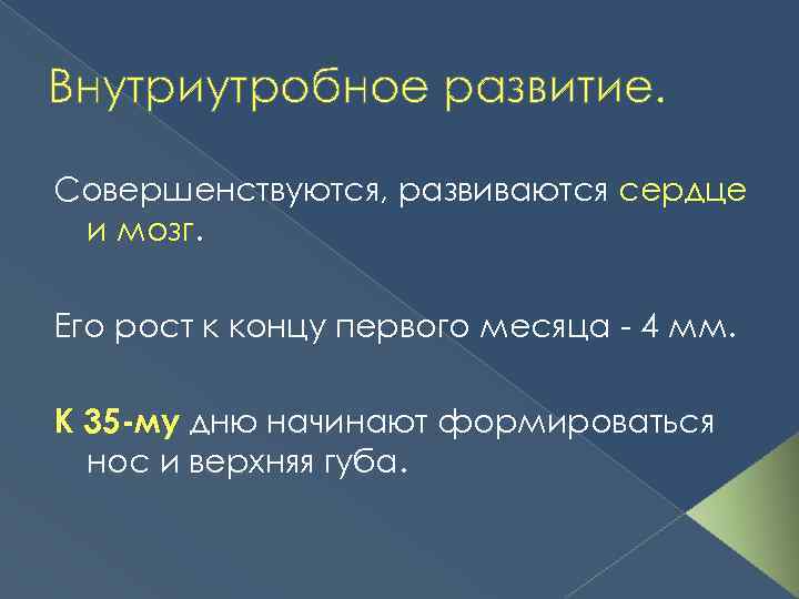 Внутриутробное развитие. Совершенствуются, развиваются сердце и мозг. Его рост к концу первого месяца -