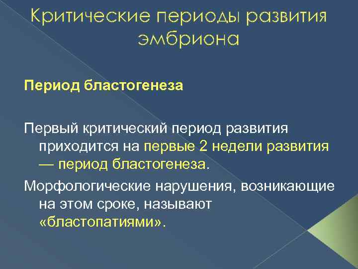 Критические периоды развития плода презентация