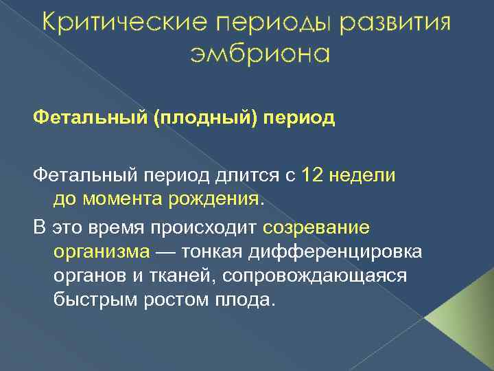 Критические периоды развития эмбриона Фетальный (плодный) период Фетальный период длится с 12 недели до