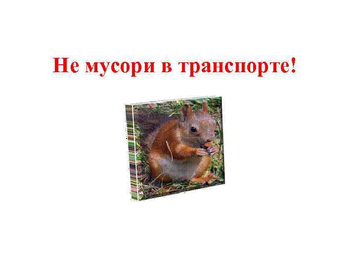 Не мусори в транспорте! 