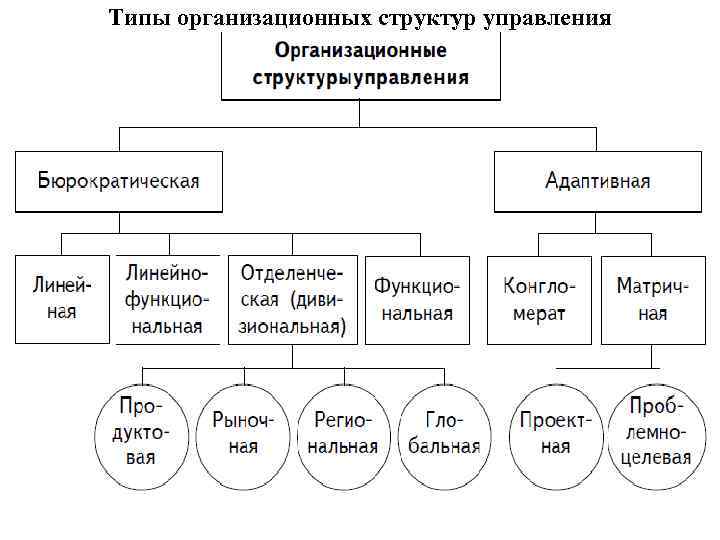 Определите тип организационной структуры по рисунку