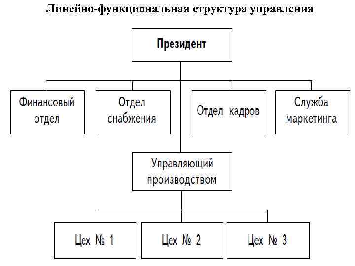 Линейно функциональная структура предприятия схема