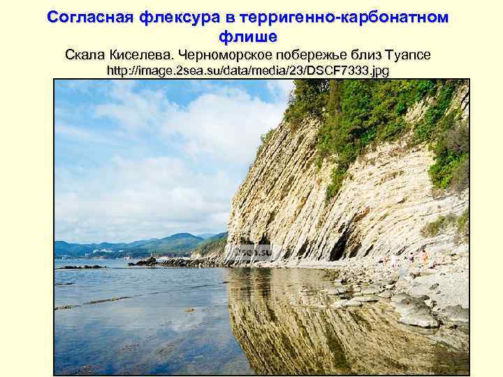 Согласная флексура в терригенно-карбонатном флише Скала Киселева. Черноморское побережье близ Туапсе http: //image. 2