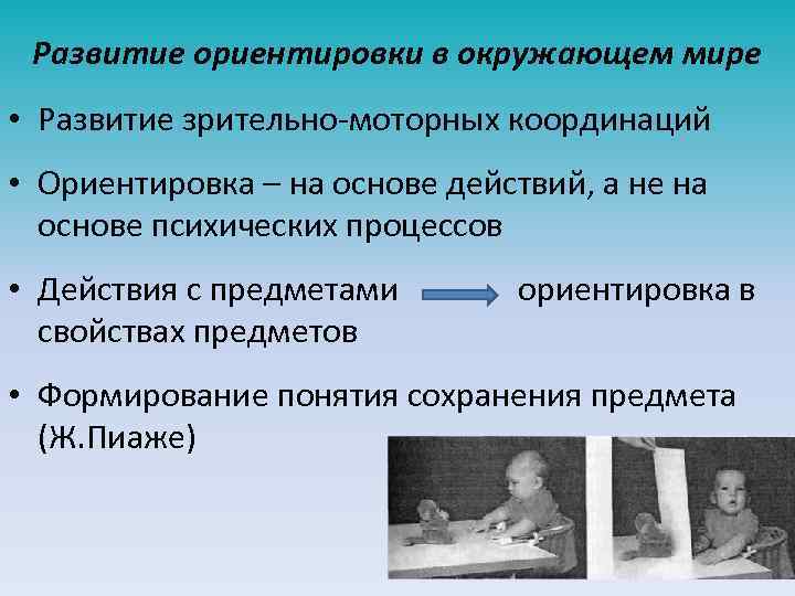 Развитие ориентировки в окружающем мире • Развитие зрительно-моторных координаций • Ориентировка – на основе