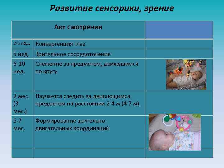 Развитие сенсорики, зрение Акт смотрения 2 -3 нед. Конвергенция глаз 5 нед. Зрительное сосредоточение