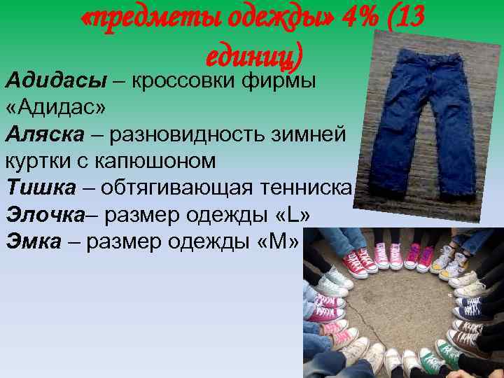  «предметы одежды» 4% (13 единиц) Адидасы – кроссовки фирмы «Адидас» Аляска – разновидность