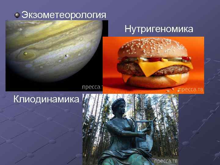 Экзометеорология Нутригеномика Клиодинамика 