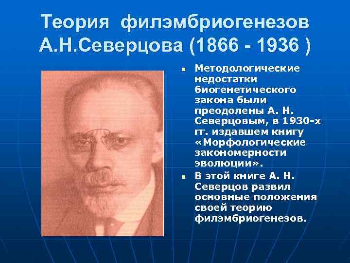 Макроэволюция северцов