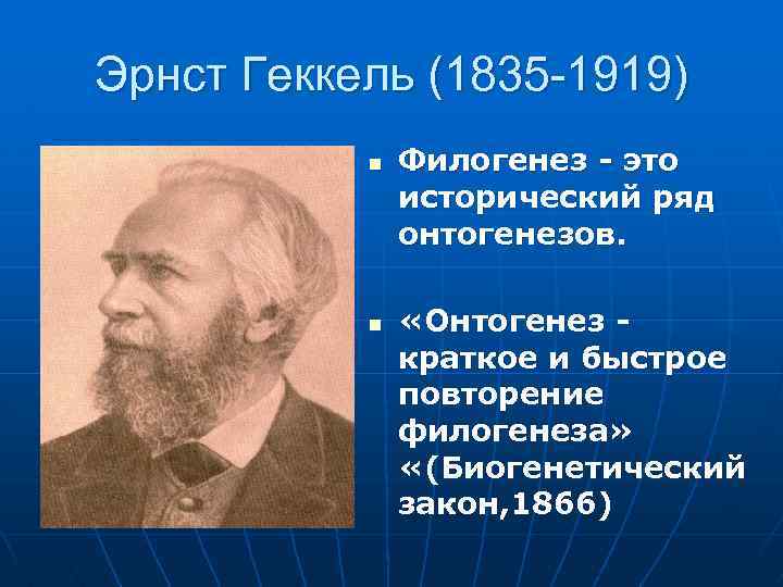 Эрнст Геккель (1835 -1919) n n Филогенез это исторический ряд онтогенезов. «Онтогенез краткое и