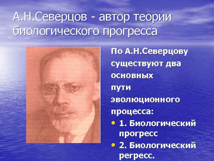 А. Н. Северцов - автор теории биологического прогресса По А. Н. Северцову существуют два