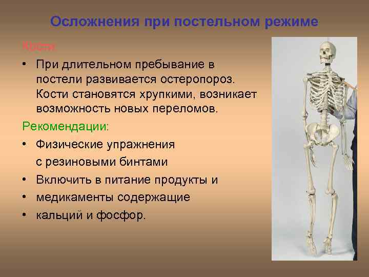 Осложнения при постельном режиме Кости: • При длительном пребывание в постели развивается остеропороз. Кости