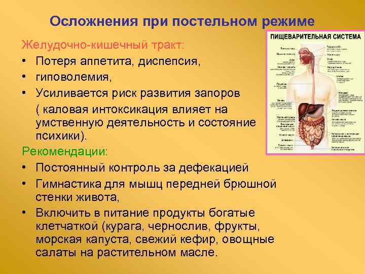 Осложнения при постельном режиме Желудочно-кишечный тракт: • Потеря аппетита, диспепсия, • гиповолемия, • Усиливается