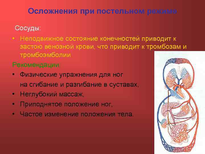 Осложнения при постельном режиме Сосуды: • Неподвижное состояние конечностей приводит к застою венозной крови,