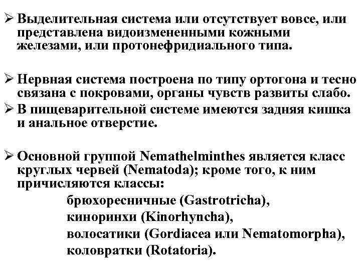Ø Выделительная система или отсутствует вовсе, или представлена видоизмененными кожными железами, или протонефридиального типа.