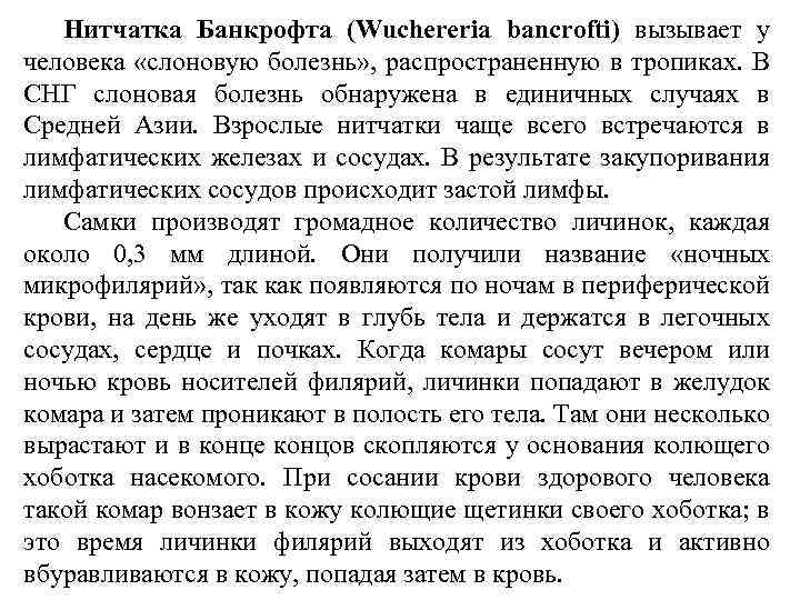 Нитчатка Банкрофта (Wuchereria bancrofti) вызывает у человека «слоновую болезнь» , распространенную в тропиках. В