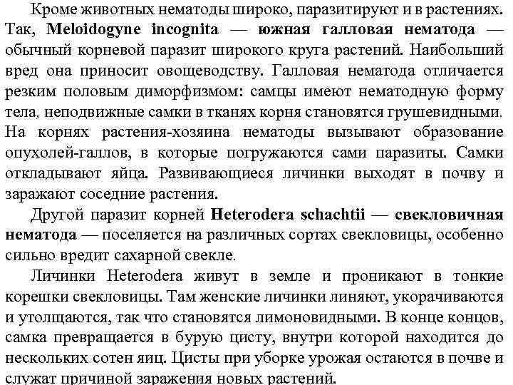 Кроме животных нематоды широко, паразитируют и в растениях. Так, Meloidogyne incognita — южная галловая