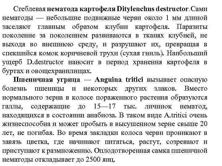 Стеблевая нематода картофеля Ditylenchus destructor. Сами нематоды — небольшие подвижные черви около 1 мм