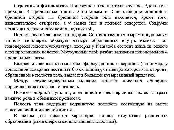 Строение и физиология. Поперечное сечение тела круглое. Вдоль тела проходят 4 продольные линии: 2