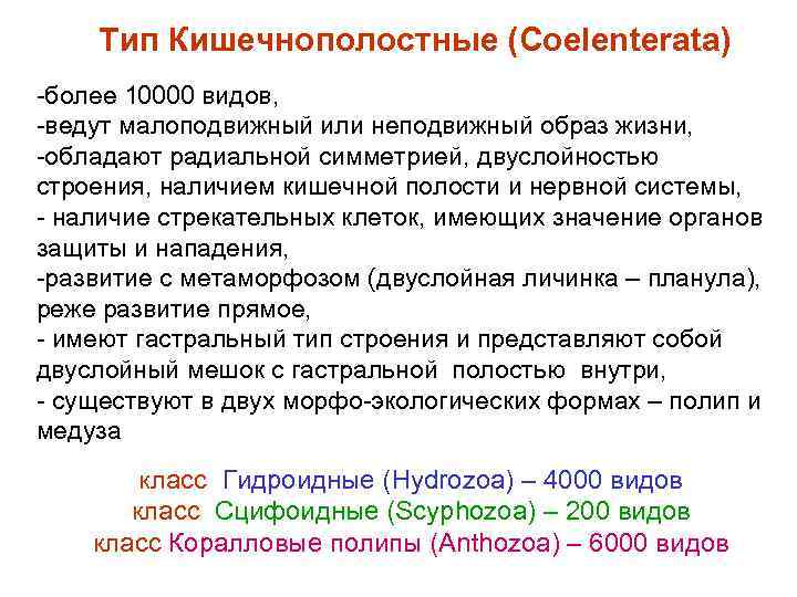 Тип Кишечнополостные (Coelenterata) -более 10000 видов, -ведут малоподвижный или неподвижный образ жизни, -обладают радиальной