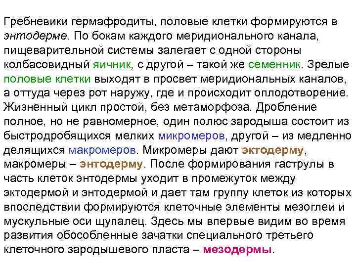 Гребневики гермафродиты, половые клетки формируются в энтодерме. По бокам каждого меридионального канала, пищеварительной системы