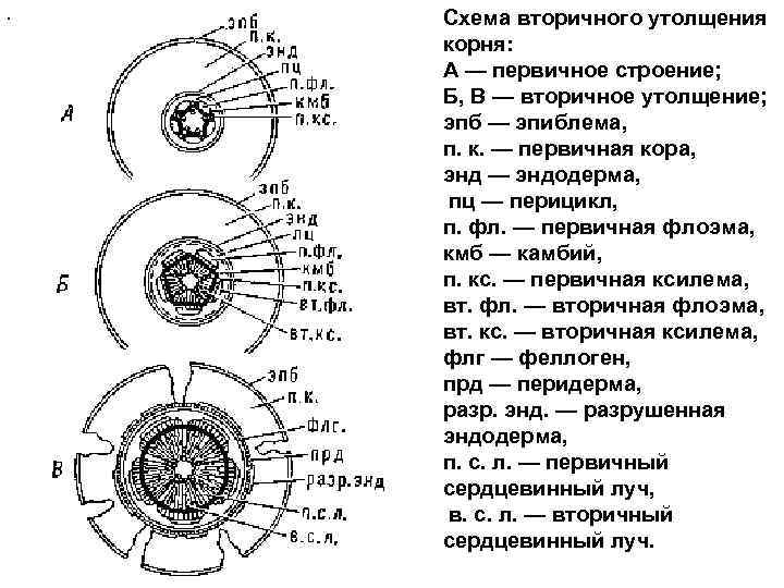 Схема вторичных часов