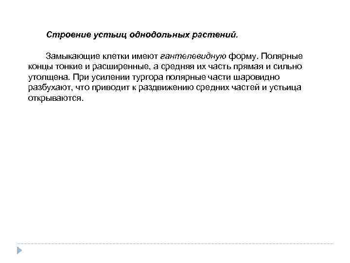 Строение устьиц однодольных растений. Замыкающие клетки имеют гантелевидную форму. Полярные концы тонкие и расширенные,