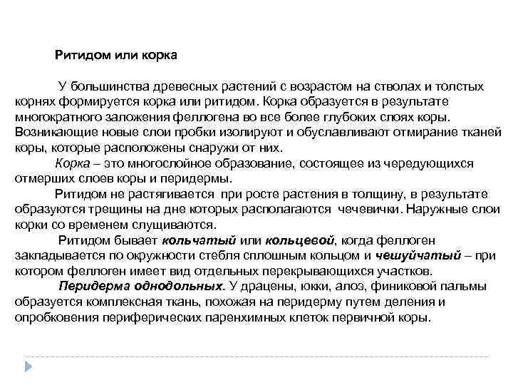 Ритидом или корка У большинства древесных растений с возрастом на стволах и толстых корнях