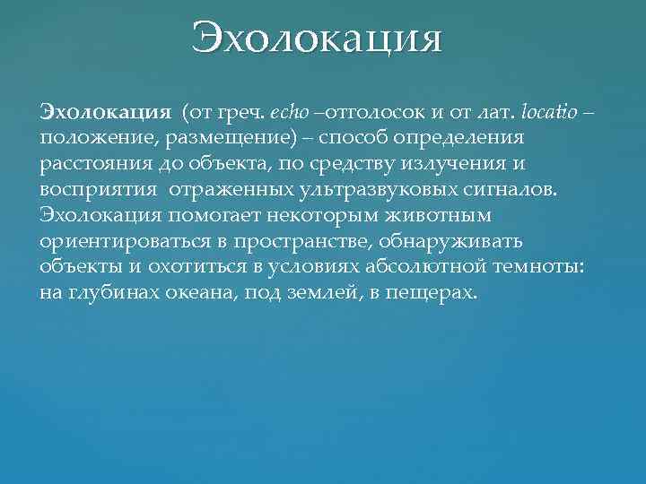 Эхолокация (от греч. еcho –отголосок и от лат. locatio – положение, размещение) – способ