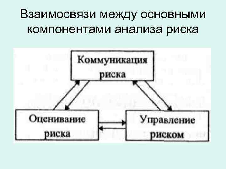Взаимосвязи между основными компонентами анализа риска 