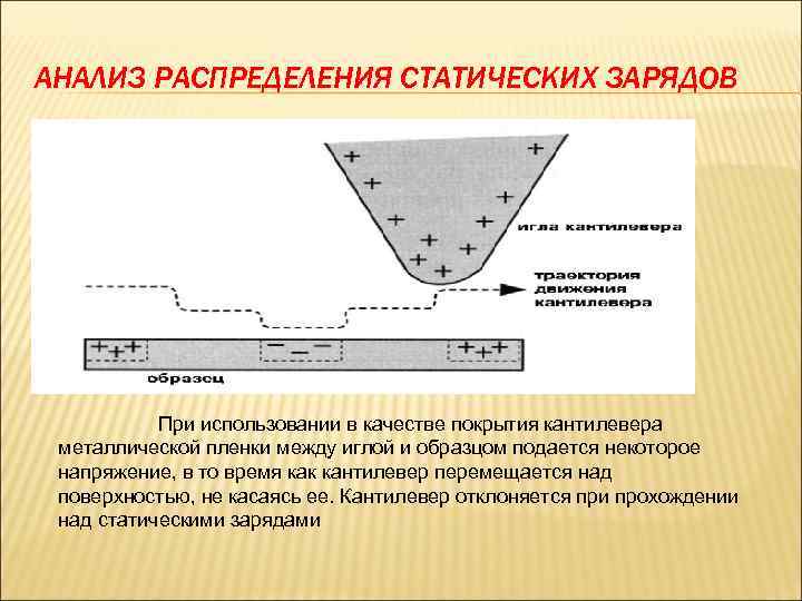 АНАЛИЗ РАСПРЕДЕЛЕНИЯ СТАТИЧЕСКИХ ЗАРЯДОВ При использовании в качестве покрытия кантилевера металлической пленки между иглой