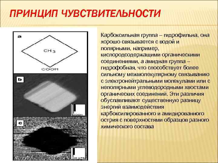 ПРИНЦИП ЧУВСТВИТЕЛЬНОСТИ Карбоксильная группа – гидрофильна, она хорошо связывается с водой и полярными, например,