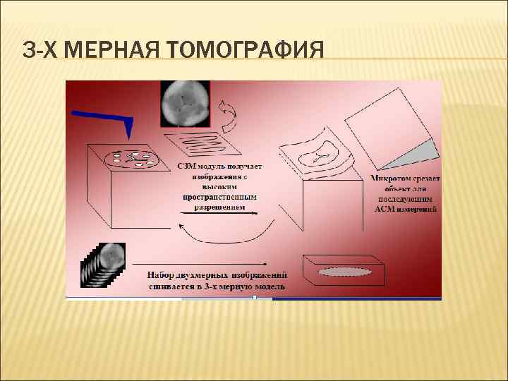 3 -Х МЕРНАЯ ТОМОГРАФИЯ 