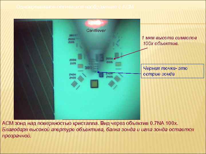 Одновременное оптическое изображение с АСМ Cantilever 1 мкм высота символов 100 x объектив. Черная