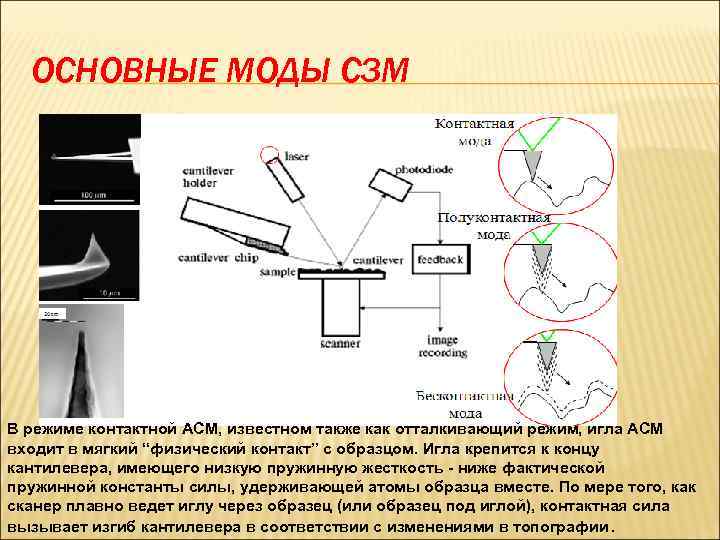 ОСНОВНЫЕ МОДЫ СЗМ В режиме контактной АСМ, известном также как отталкивающий режим, игла АСМ