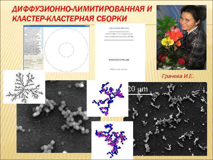 ДИФФУЗИОННО-ЛИМИТИРОВАННАЯ И КЛАСТЕР-КЛАСТЕРНАЯ СБОРКИ Грачева И. Е. 