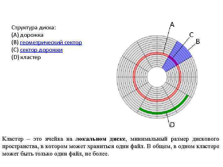 Структура диска: (A) дорожка (B) геометрический сектор (C) сектор дорожки (D) кластер Кластер –