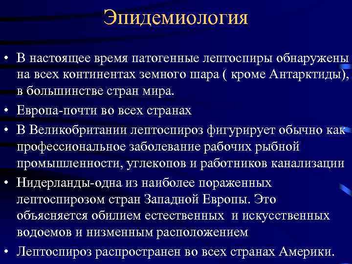 Эпидемиология • В настоящее время патогенные лептоспиры обнаружены на всех континентах земного шара (