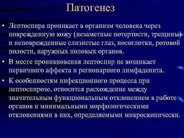 Патогенез • Лептоспира проникает в организм человека через поврежденную кожу (незаметные потертости, трещины) и