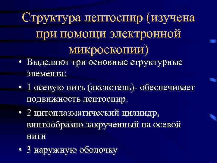 Структура лептоспир (изучена при помощи электронной микроскопии) • Выделяют три основные структурные элемента: •
