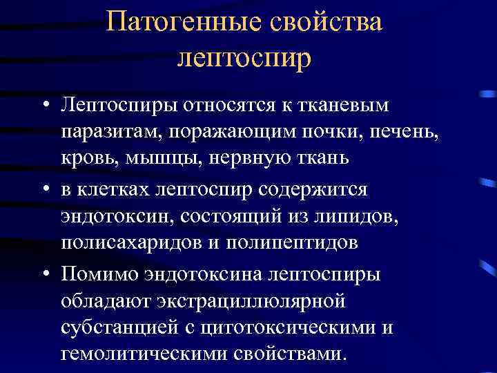 Патогенные свойства лептоспир • Лептоспиры относятся к тканевым паразитам, поражающим почки, печень, кровь, мышцы,