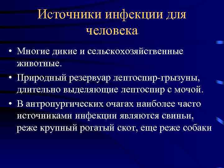 Источники инфекции для человека • Многие дикие и сельскохозяйственные животные. • Природный резервуар лептоспир-грызуны,